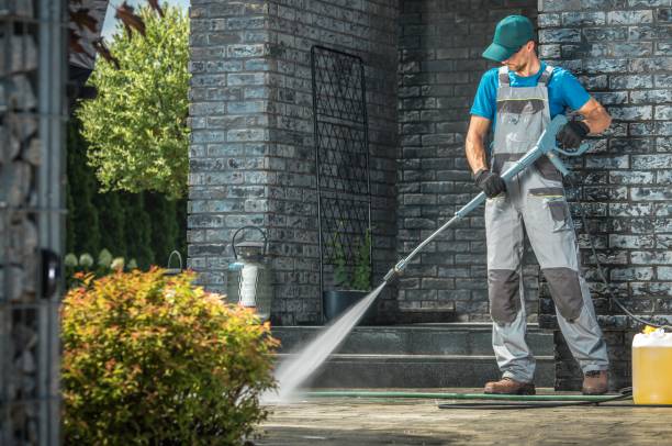 Animal Enclosure Cleaning in Kansas City, KS